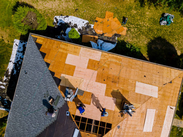 Best Roof Restoration Services  in Wye, MT